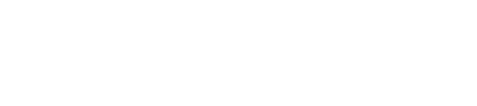 Virtual DS